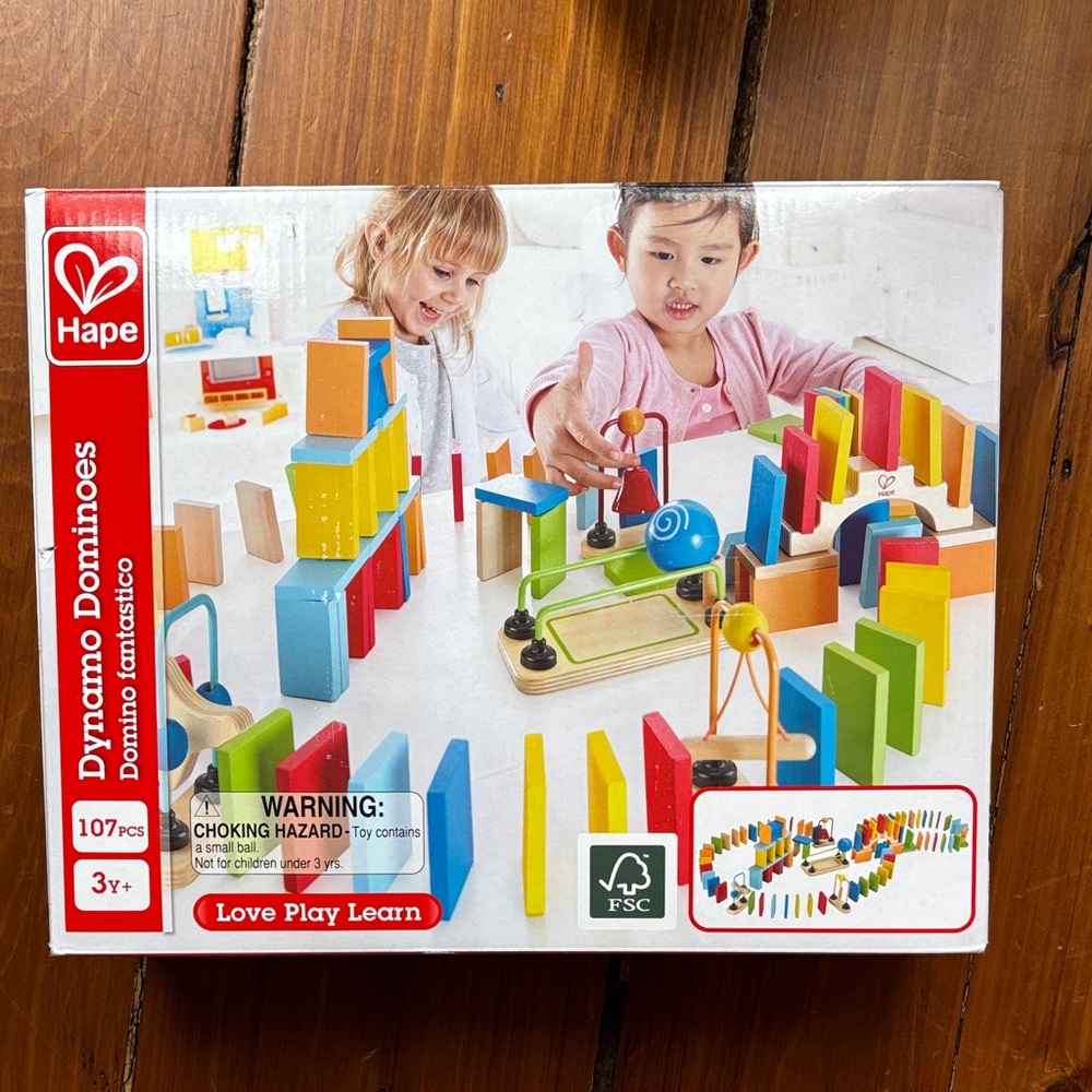 Hape wooden domino set